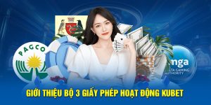 Tất cả giấy phép kinh doanh Kubet đang có